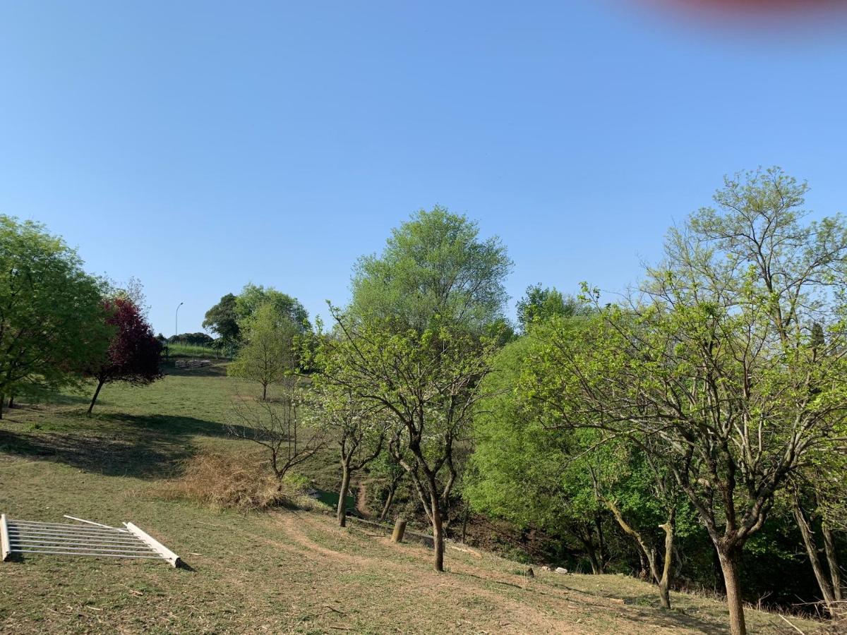 Villa Isidoro Ampio Parco ,Piscina Privata, Arte E Giochi , Fitness Βερόνα Εξωτερικό φωτογραφία