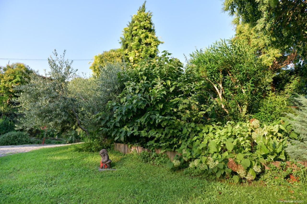 Villa Isidoro Ampio Parco ,Piscina Privata, Arte E Giochi , Fitness Βερόνα Εξωτερικό φωτογραφία
